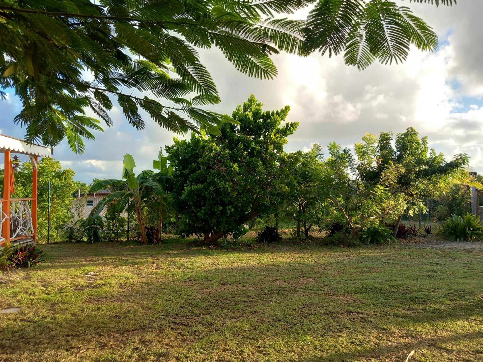 Bungalow Au Soleil แซงต์-ฟรองซัวส์ ภายนอก รูปภาพ